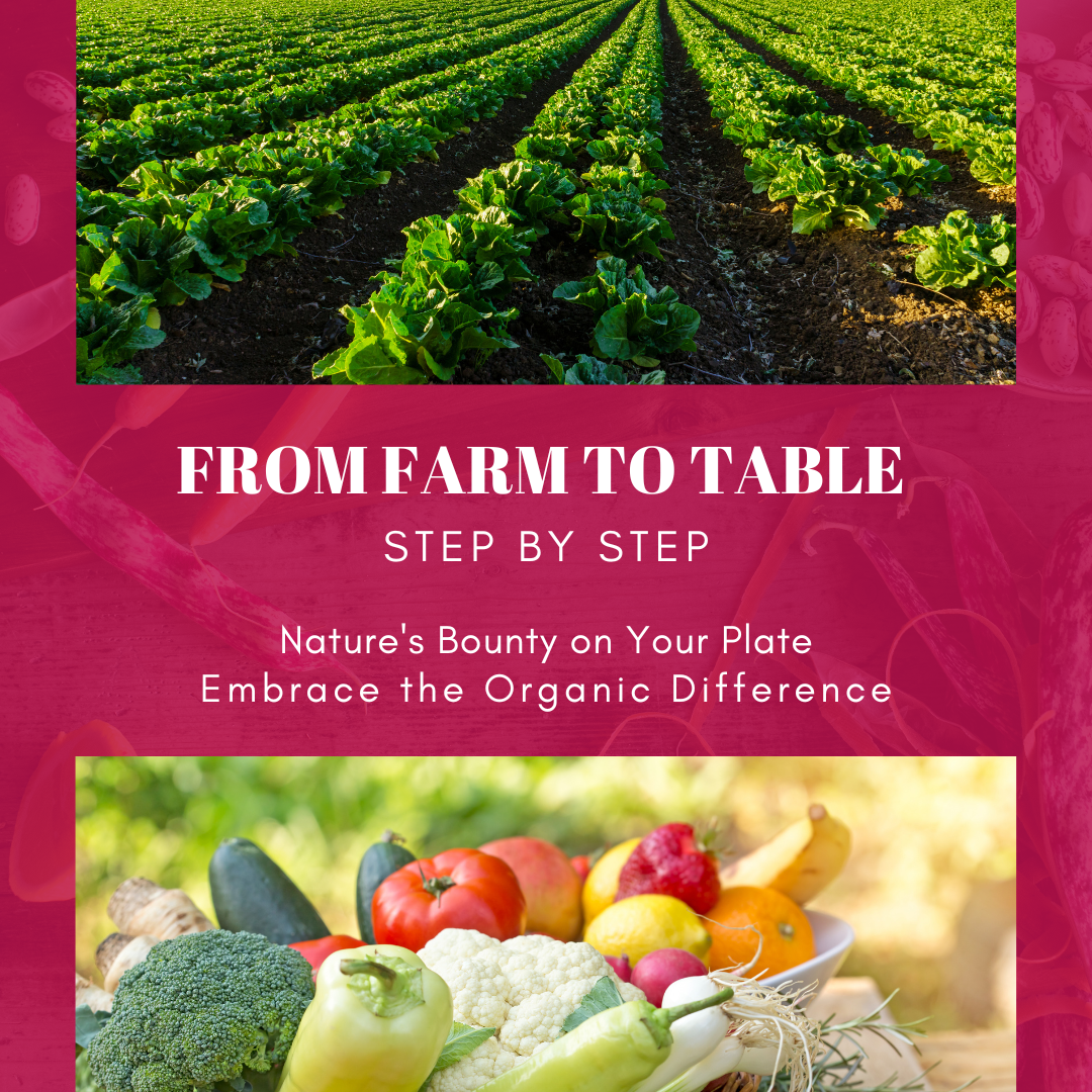 organic farm to food image